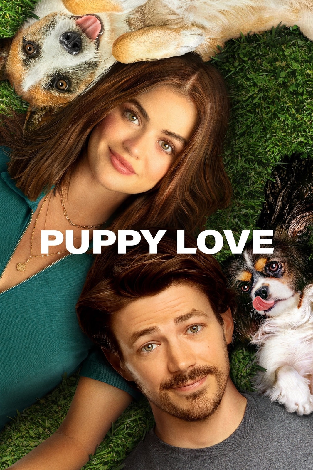 Puppy Love - Memory Image