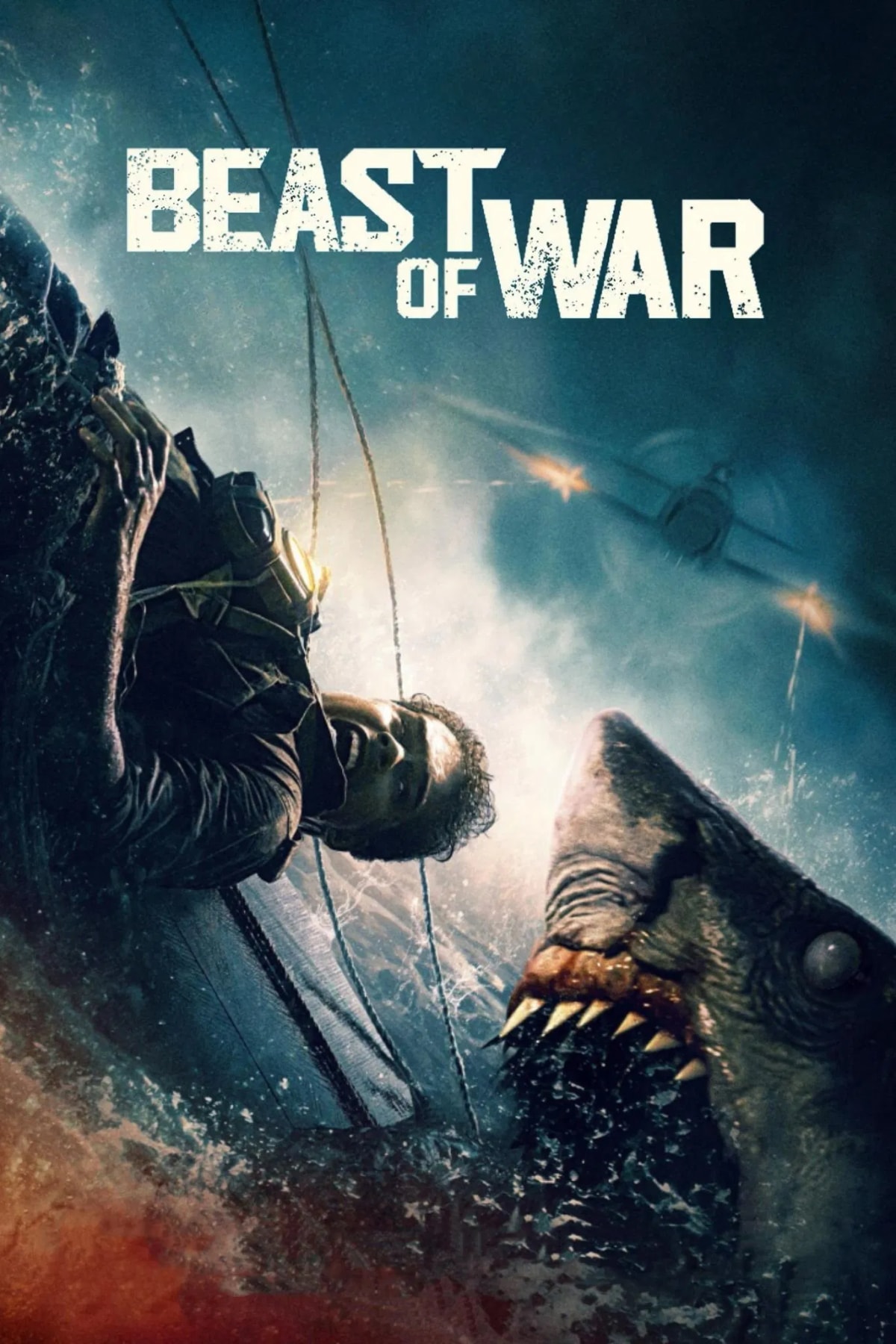 Beast of War - Memory Image