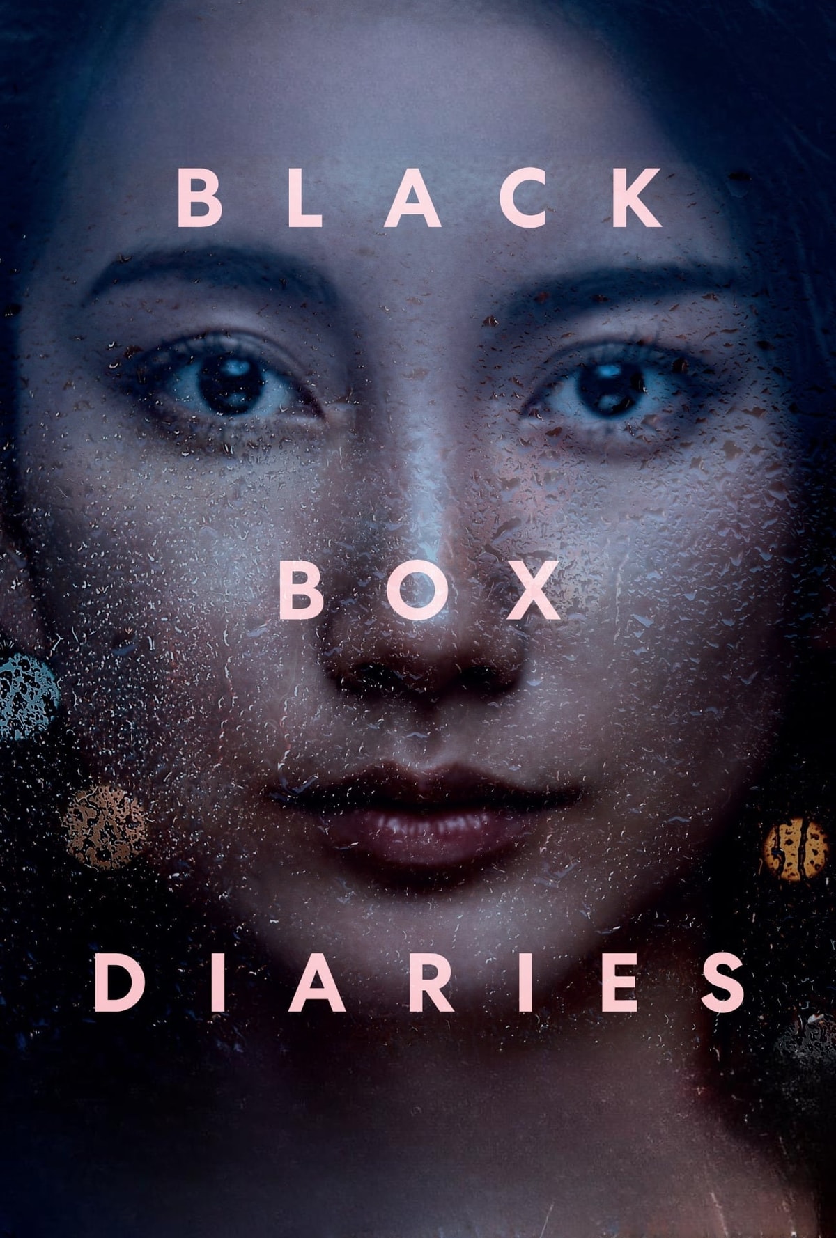 Black Box Diaries - Memory Image
