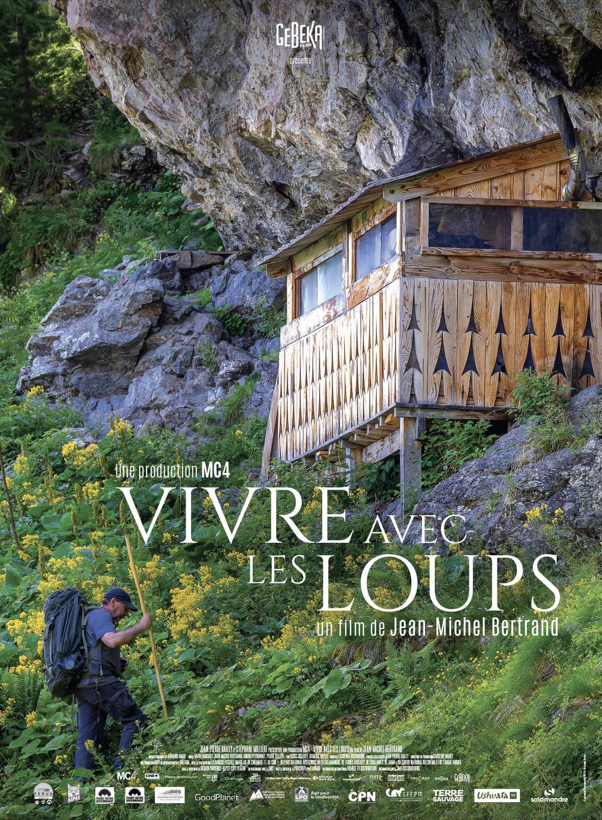 Vivre avec les loups - Memory Image
