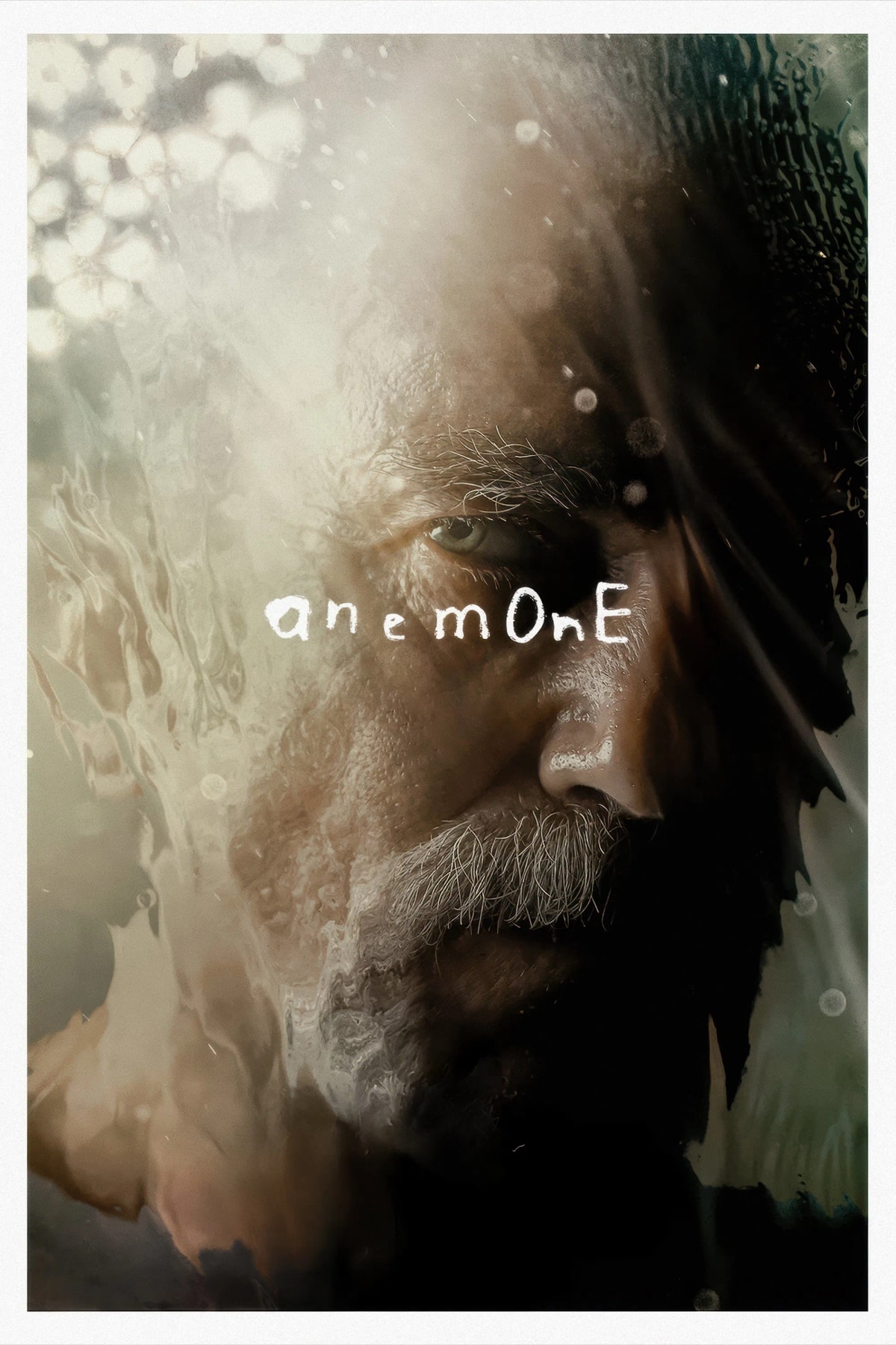 Anemone - Memory Image