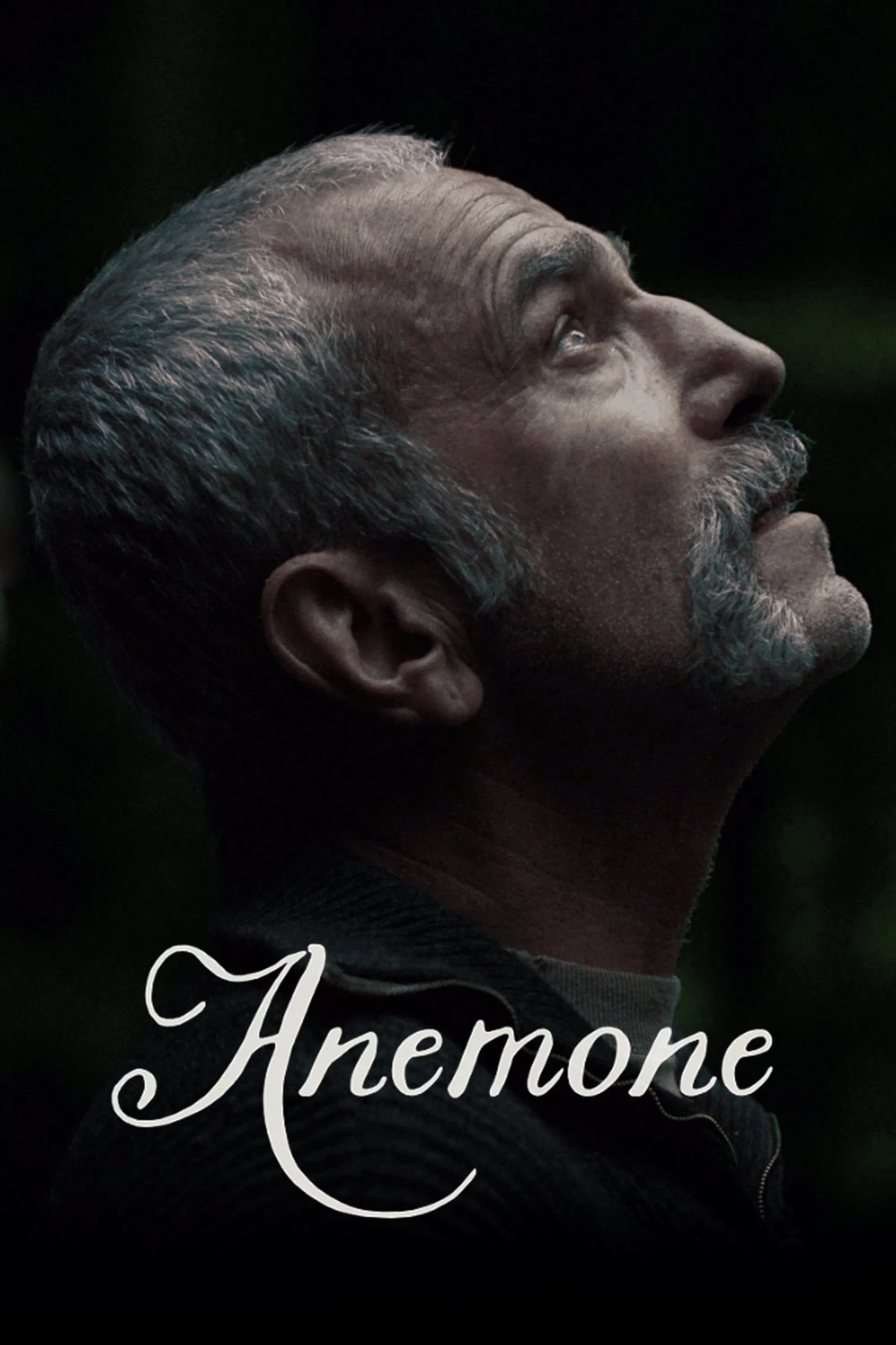 Anemone - Memory Image