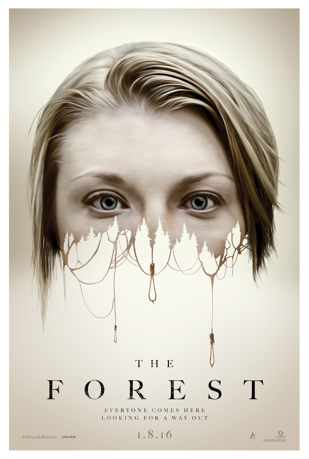 The Forest - Memory Image