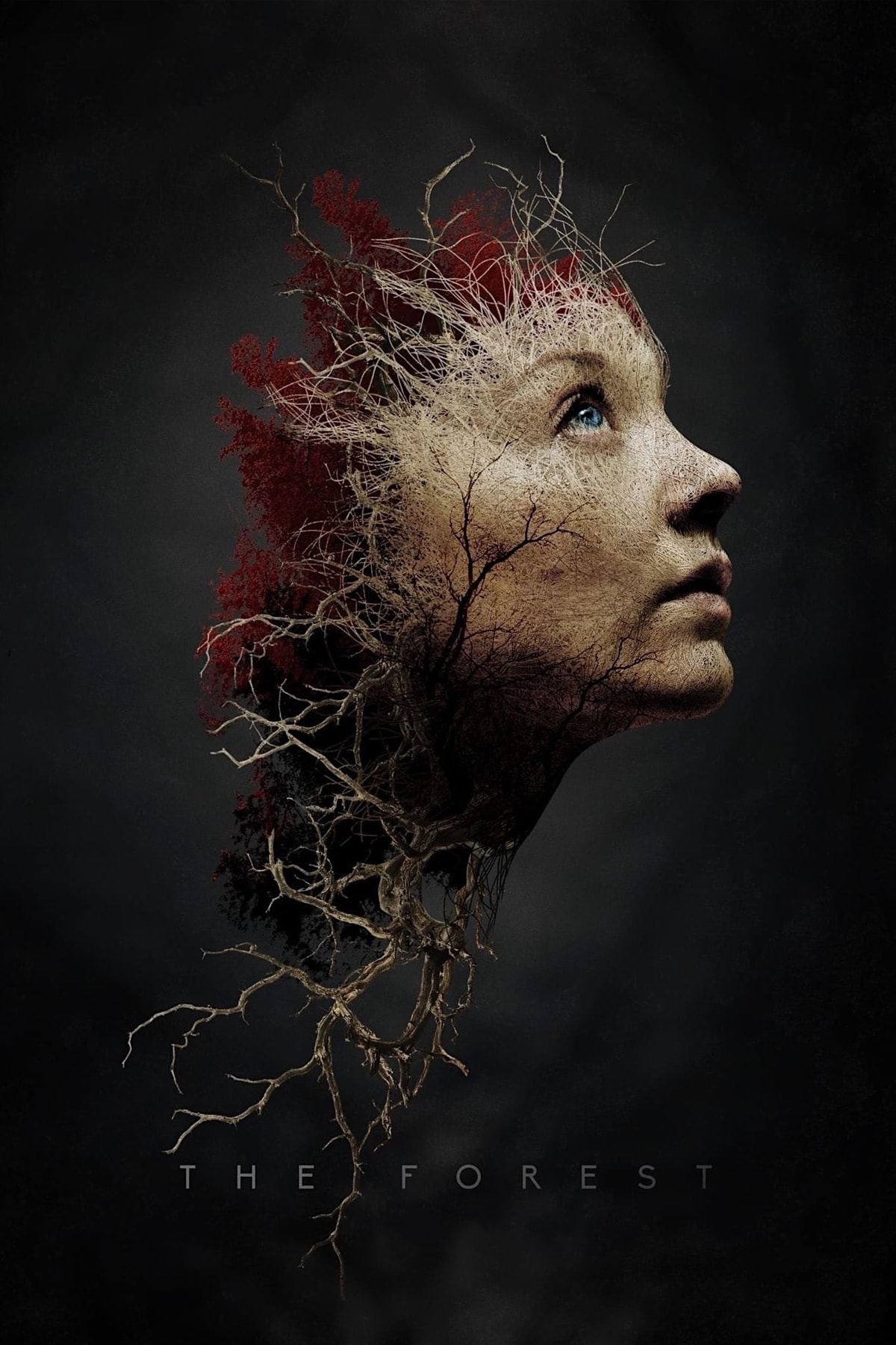 The Forest - Memory Image