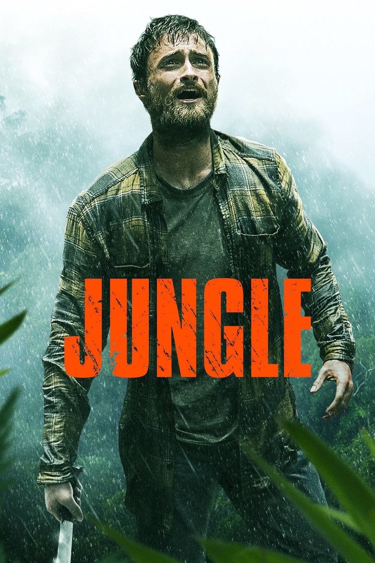 Jungle - Memory Image