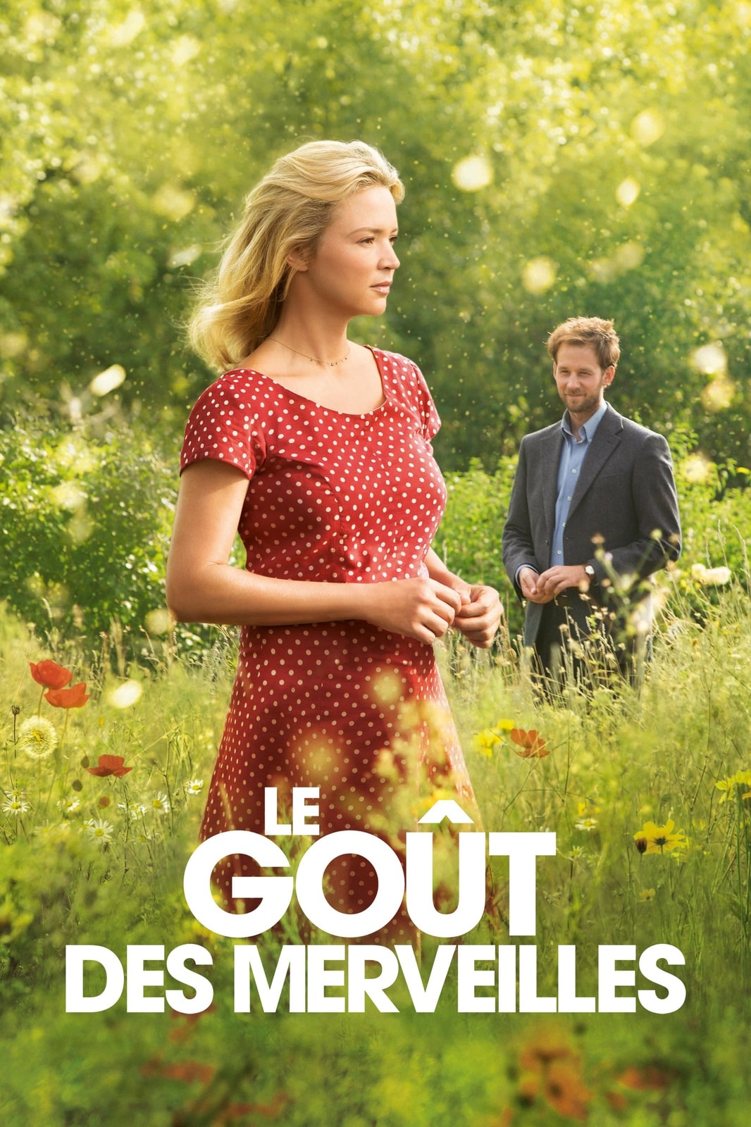 Le goût des merveilles - Memory Image