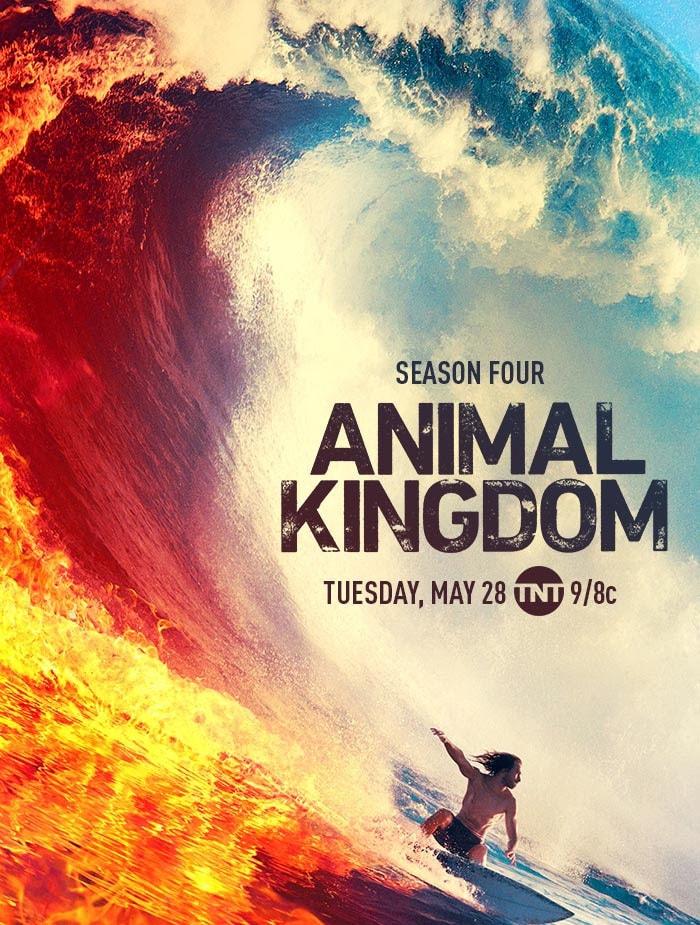 Animal Kingdom - Memory Image