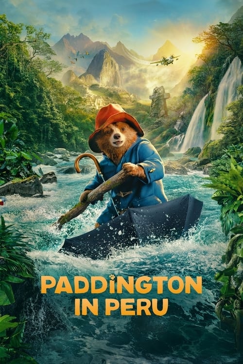 Paddington in Peru - Memory Image