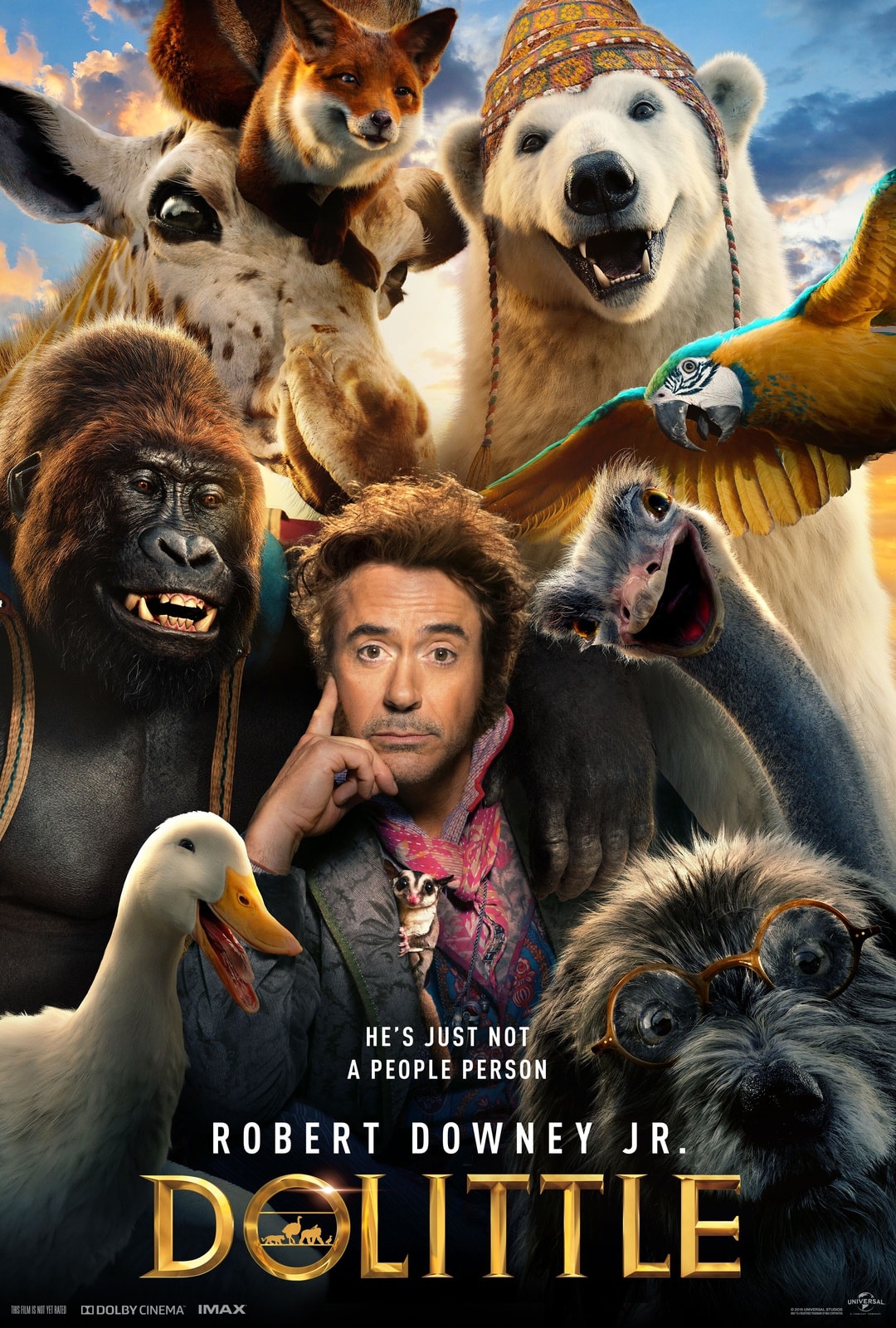 Dolittle - Memory Image