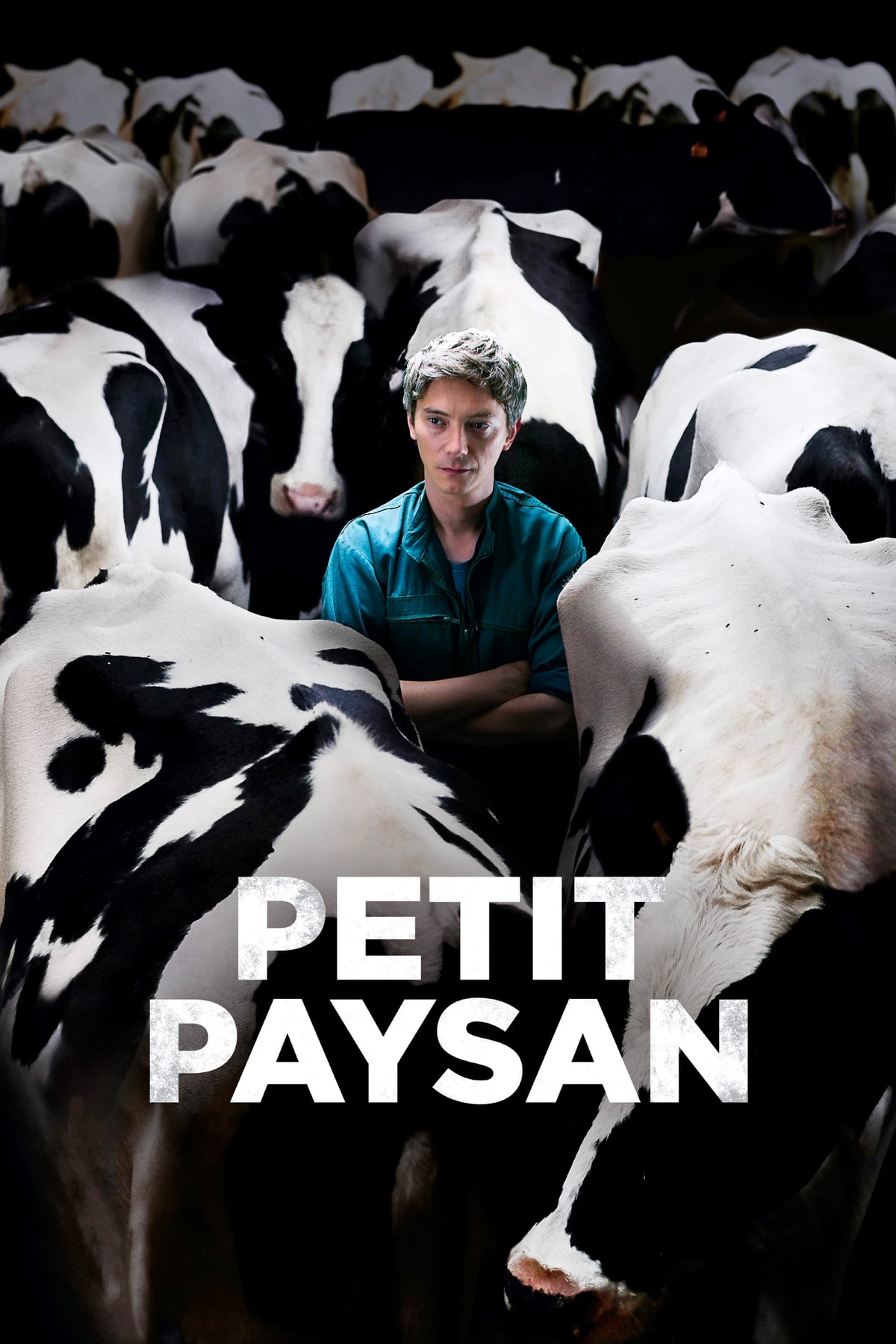 Petit paysan - Memory Image
