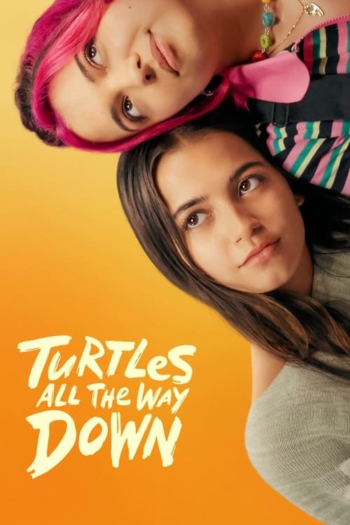 Turtles All the Way Down - Memory Image