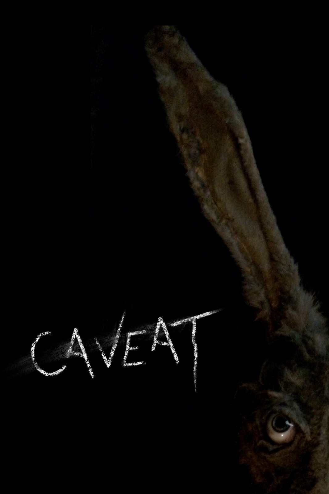 Caveat - Memory Image
