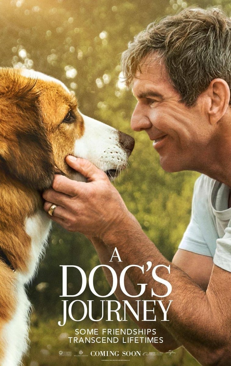 A Dog's Journey - Memory Image