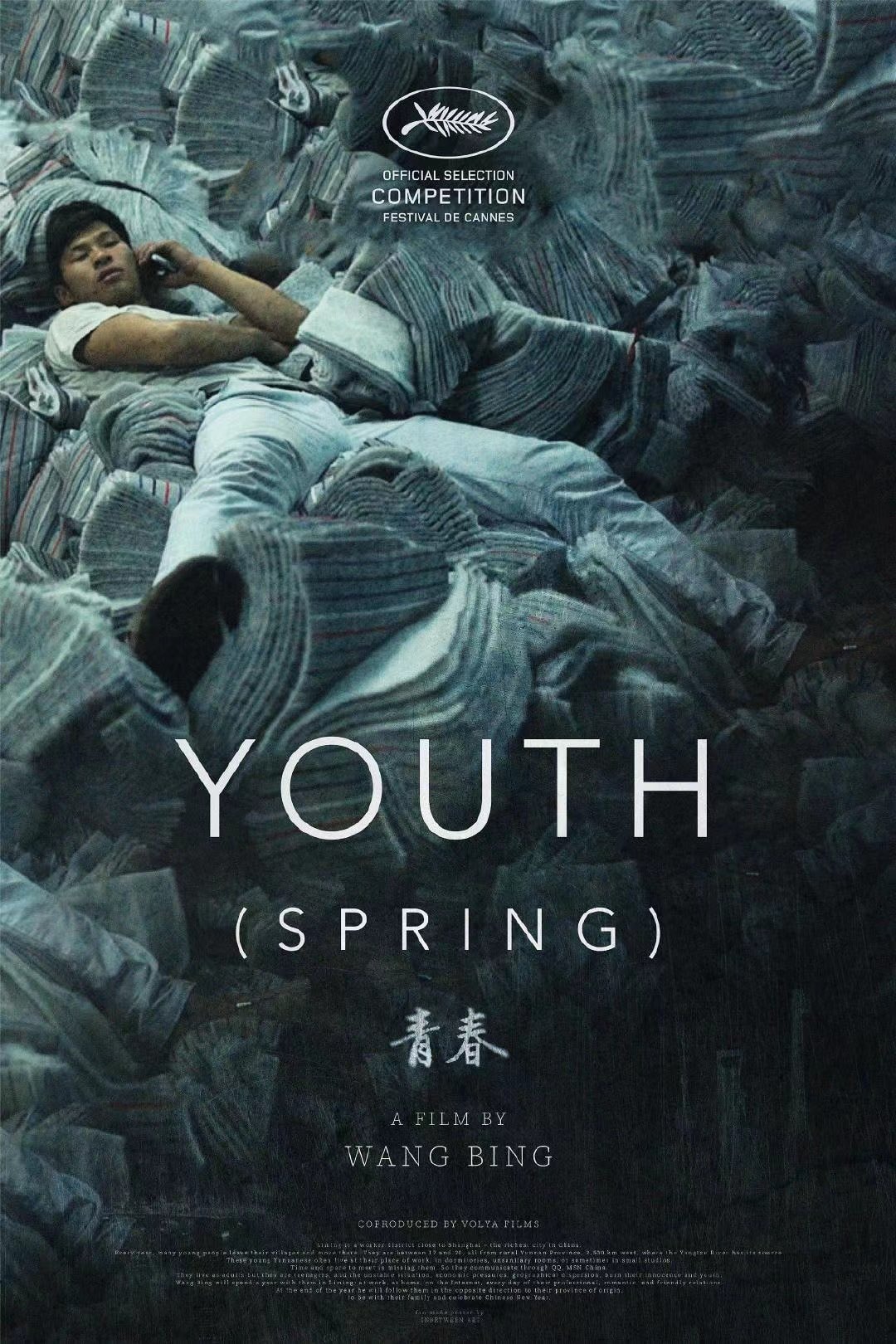 Youth (Spring) - Memory Image