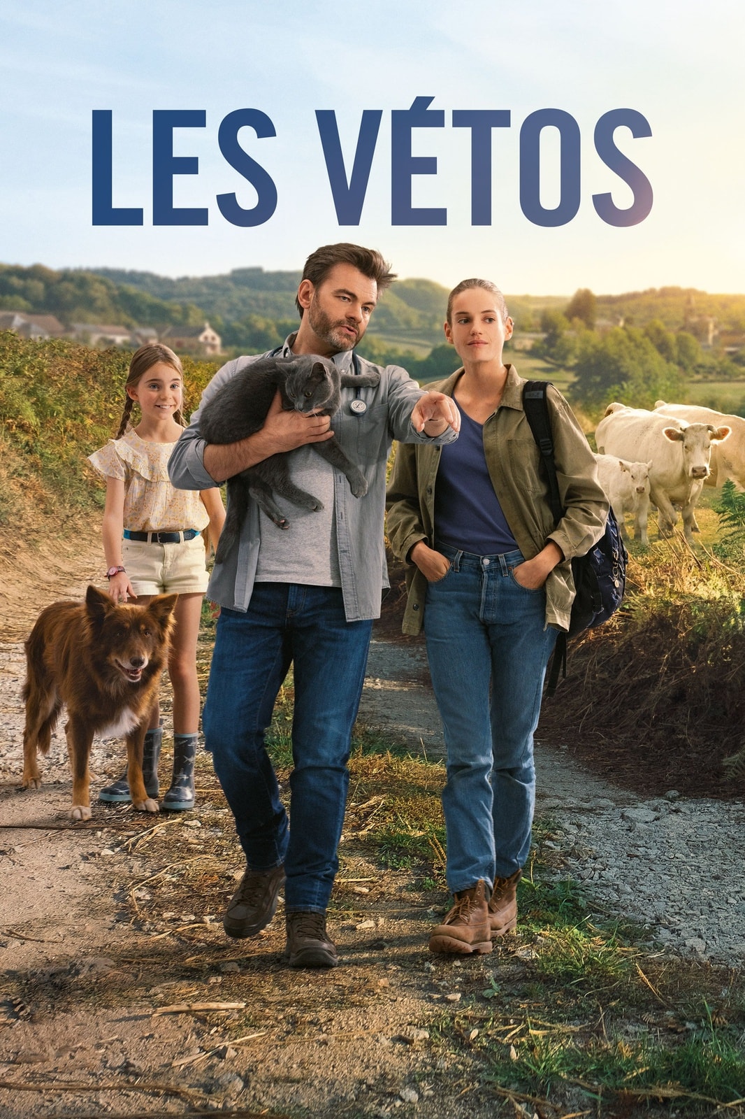 Les vétos - Memory Image