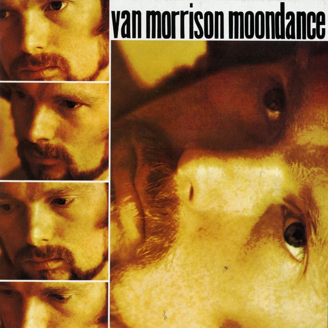 Moondance