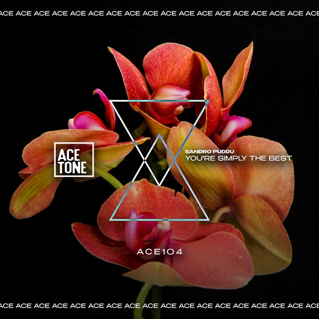 You're Simply the Best - Original Mix