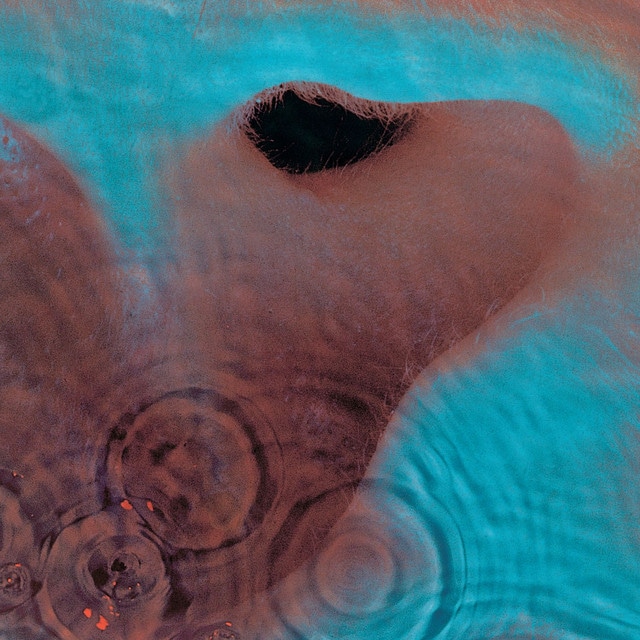 Echoes - 2011 Remastered Version