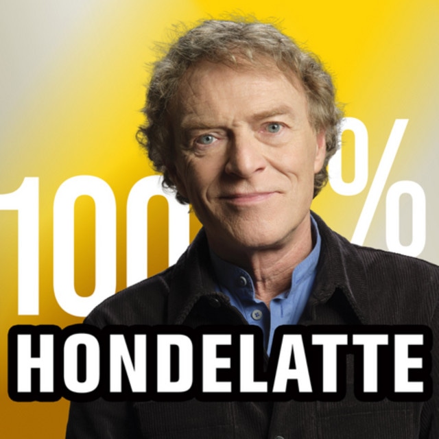 100% HONDELATTE