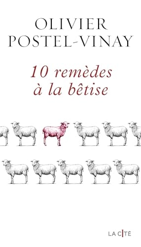 Dix remèdes contre la connerie : un essai pour aiguiser son esprit critique (La Cité)