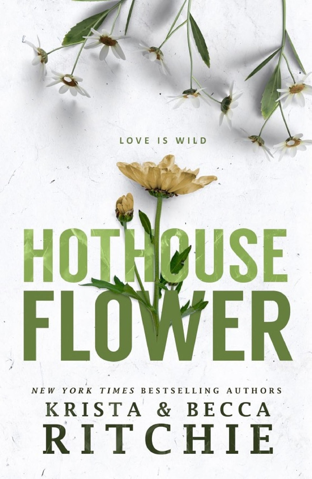 Hothouse Flower
