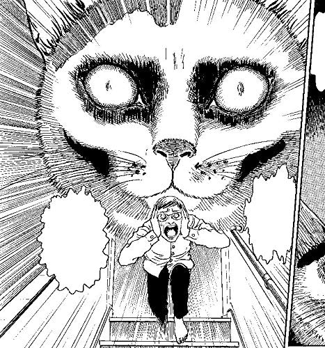 Junji Ito's Cat Diary: Yon & Mu Collector's Edition