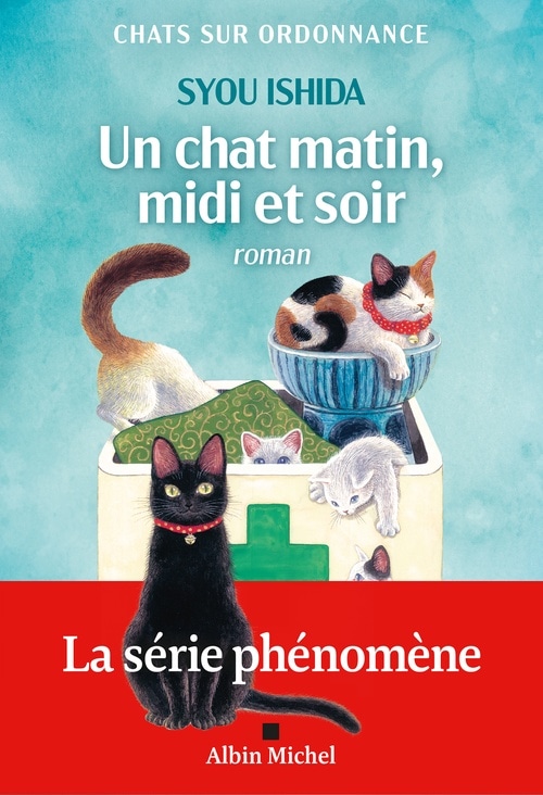 Un chat matin, midi et soir