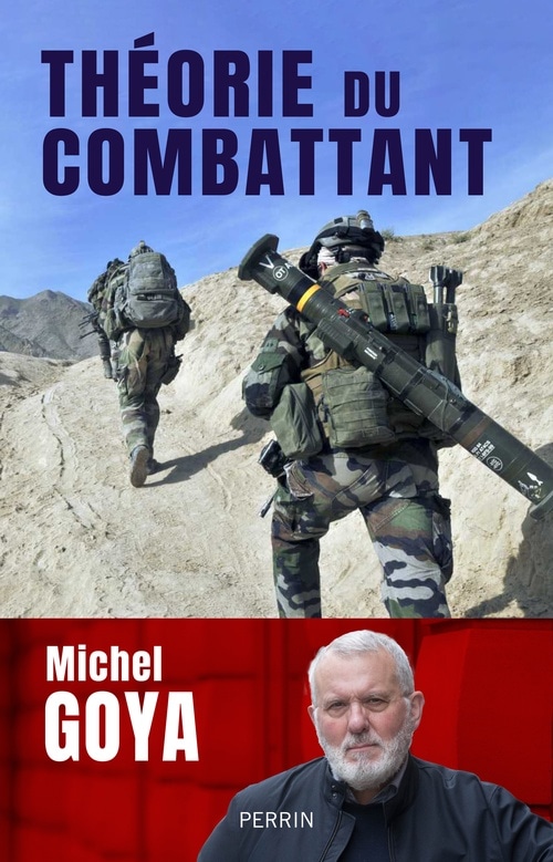 Théorie du combattant