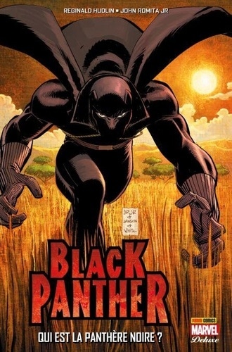 Black Panther - Qui est la Panthère Noire? Qui est la Panthère Noire ?