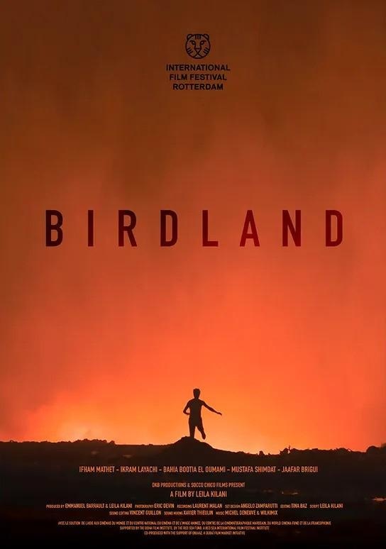 Birdland