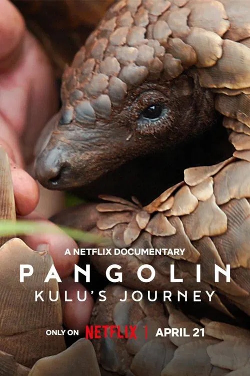 Pangolin: Kulu's Journey