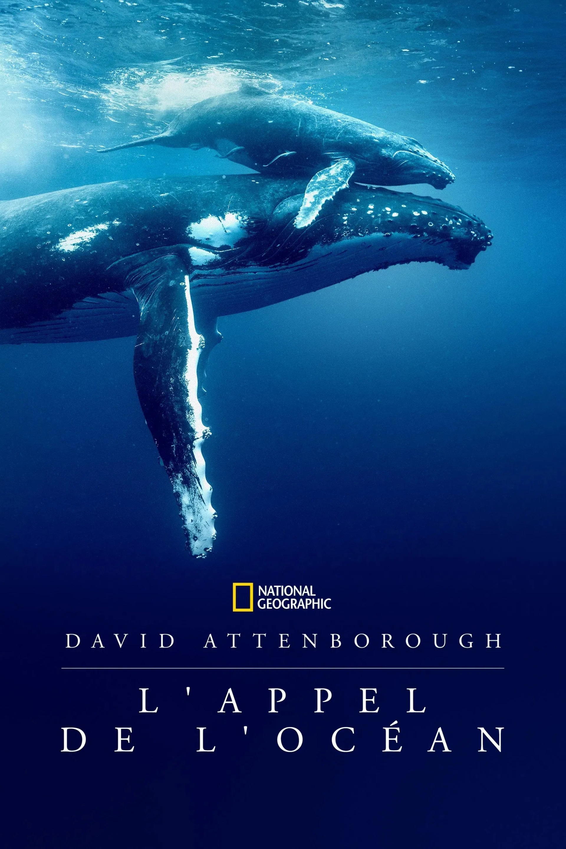 Ocean with David Attenborough