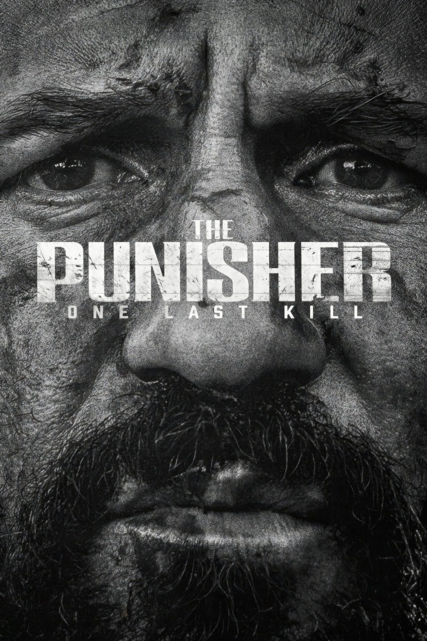 The Punisher: One Last Kill