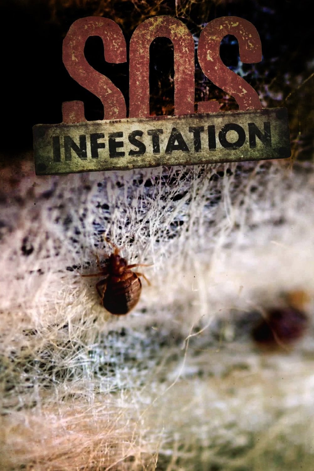 SOS Infestation - Cover