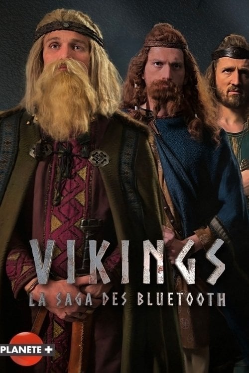Vikings : La saga des Bluetooth - Cover