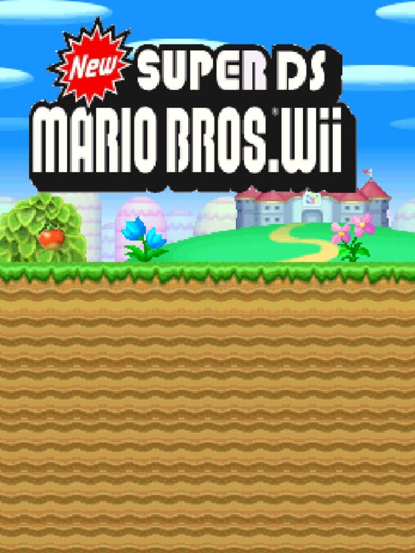 New Super Mario Bros. Wii DS - Cover