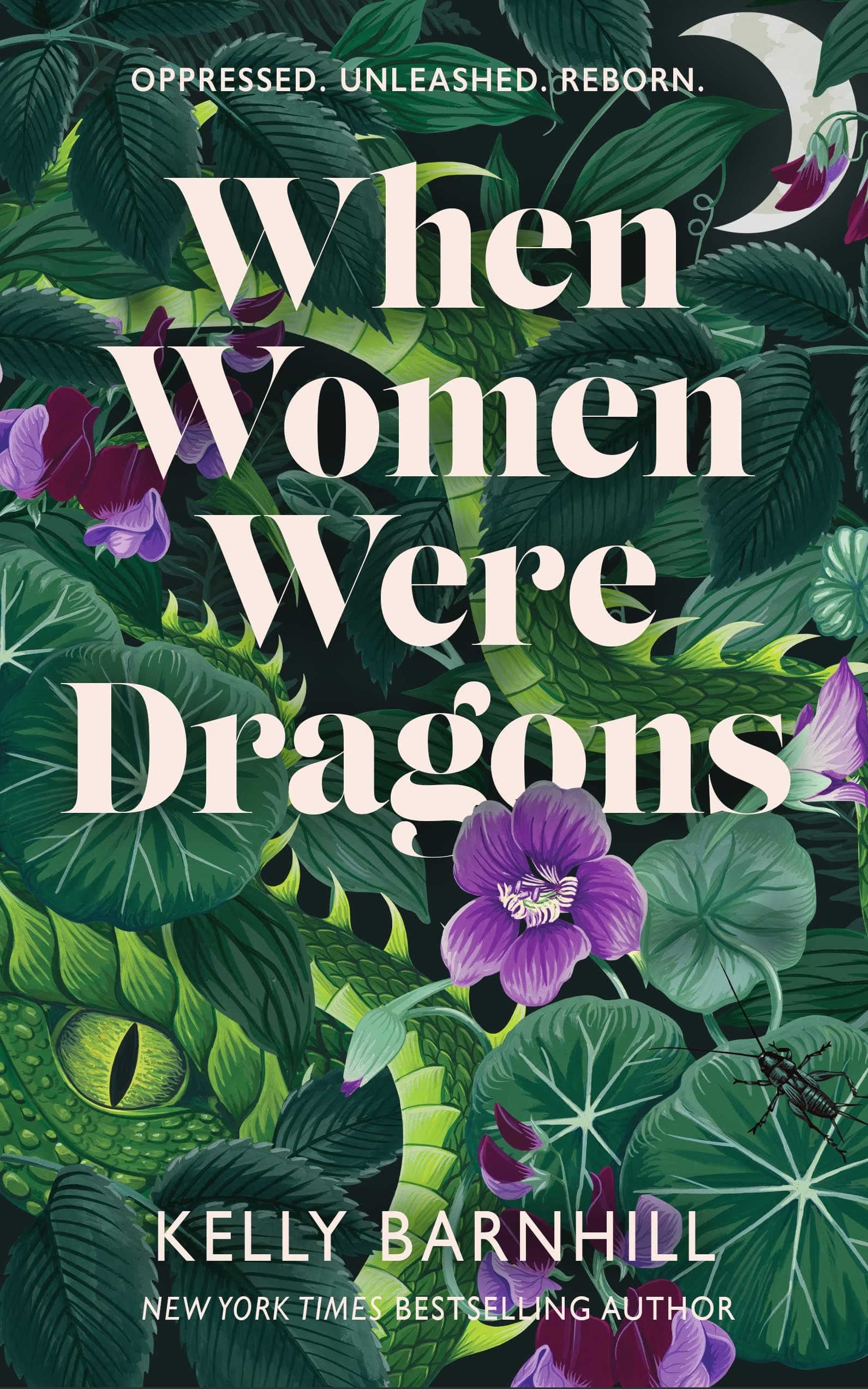 When Women Were Dragons - Cover