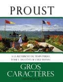 A la recherche du temps perdu Du côté de chez Swann, tome 1: Livre en gros caractères / Pour malvoyant / Grand format - Cover