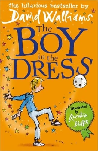 The Boy in the Dress - Cover