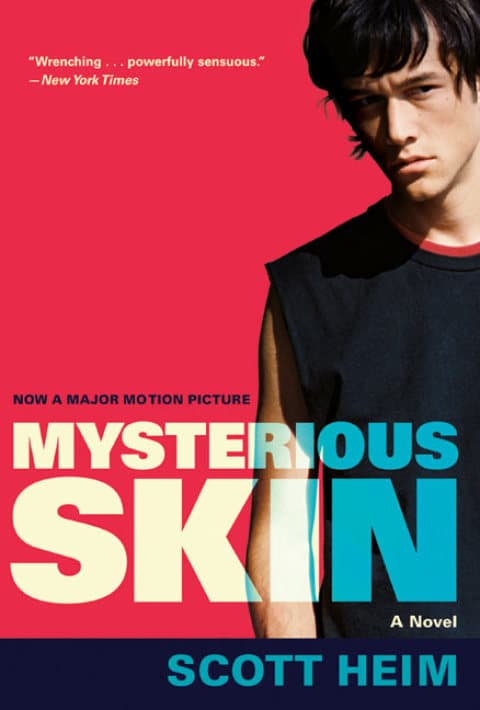 Mysterious Skin - Cover