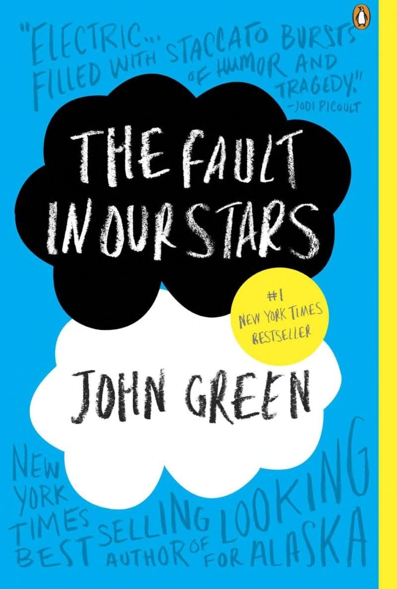 The Fault in Our Stars - Memory Image