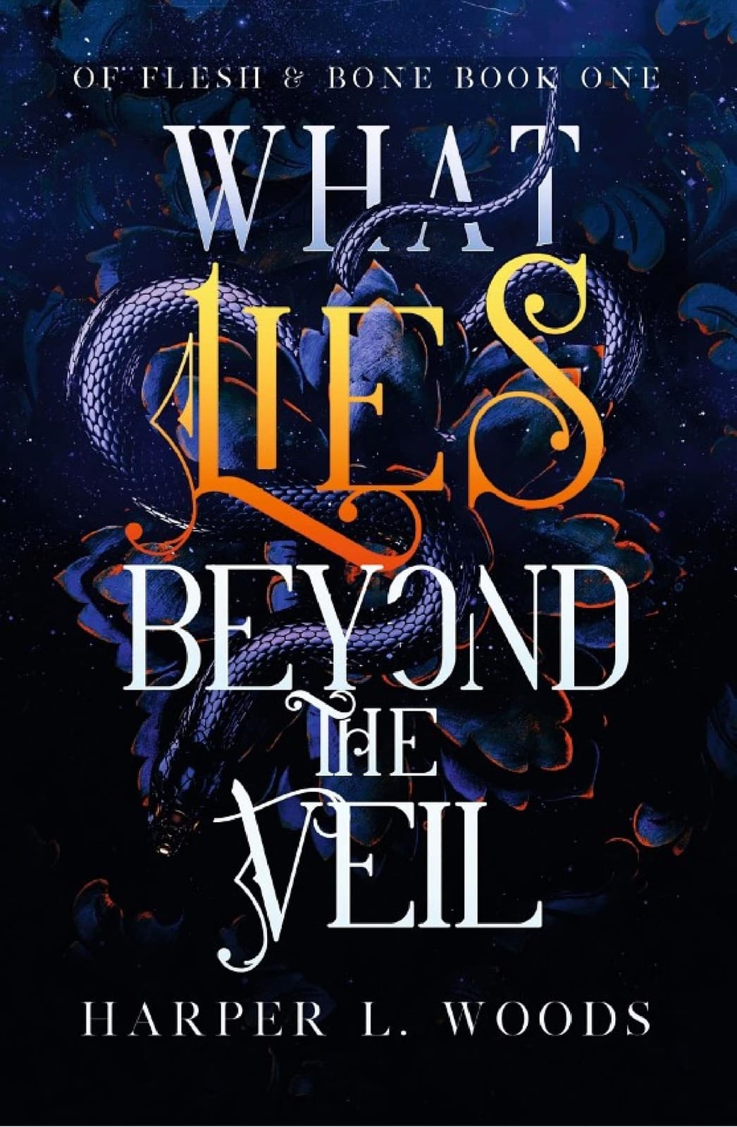What Lies Beyond the Veil - Cover