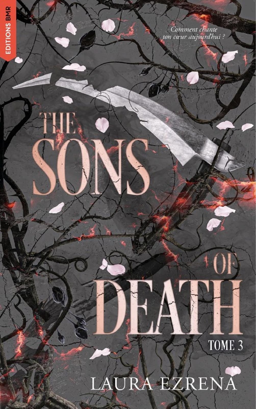 The Sons of Death - tome 3 - Cover