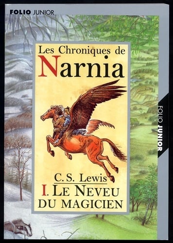 Le neveu du magicien - Cover