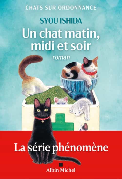 Un chat matin, midi et soir