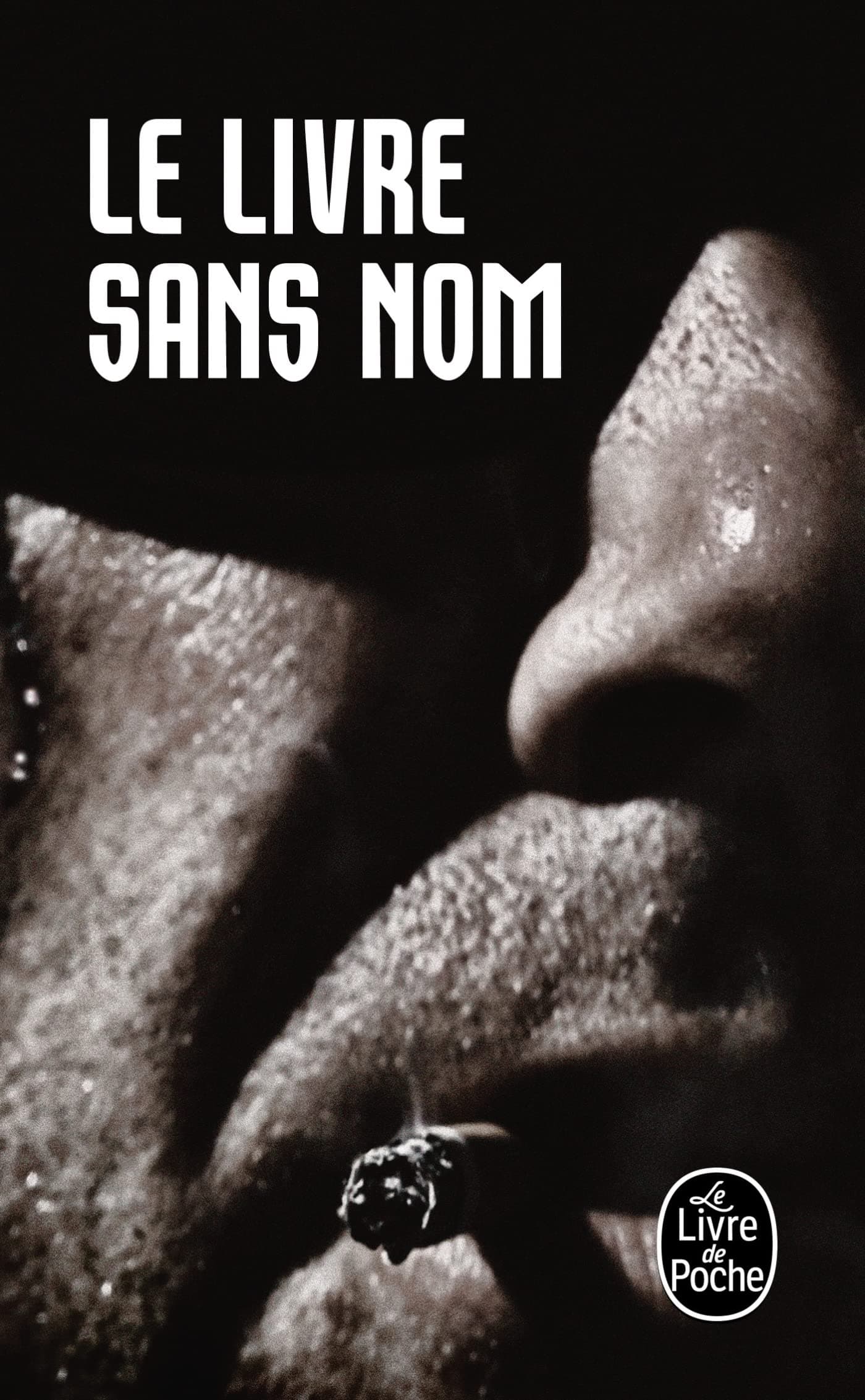 Le livre sans nom - Cover