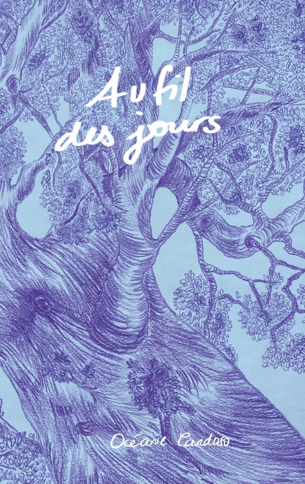 Au Fil Des Jours - Cover