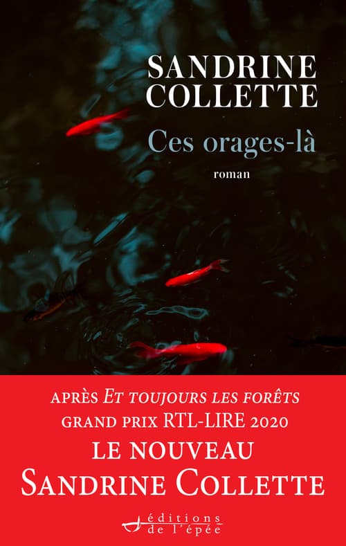 Ces Orages-là - Cover