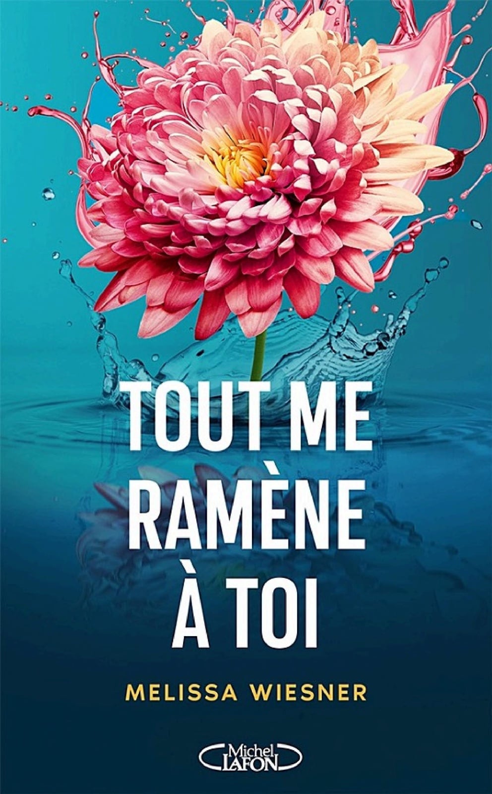 Tout me ramène à toi - Cover