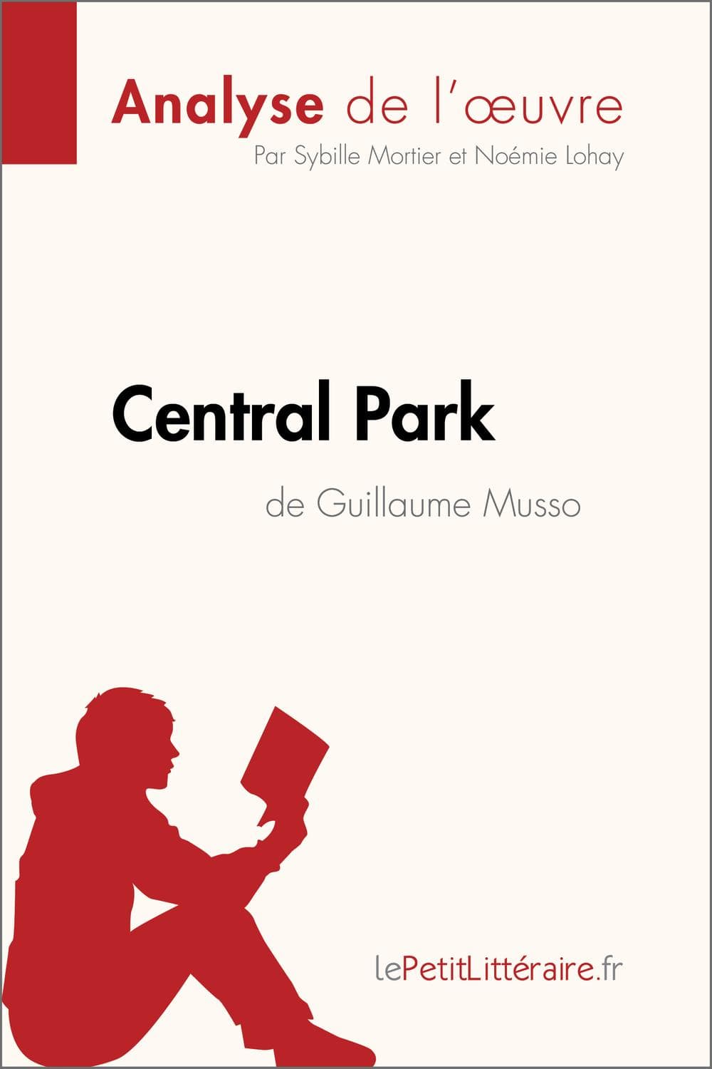 Central Park de Guillaume Musso (Analyse de l'oeuvre) - Cover